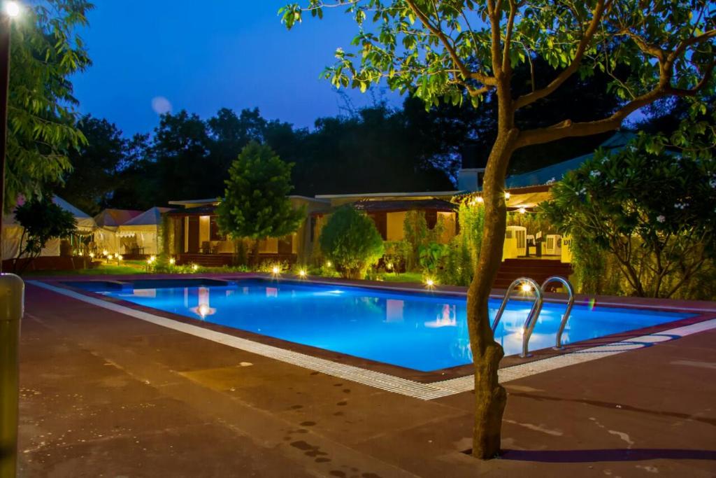 Jungle View Resort Ranthambhore photo