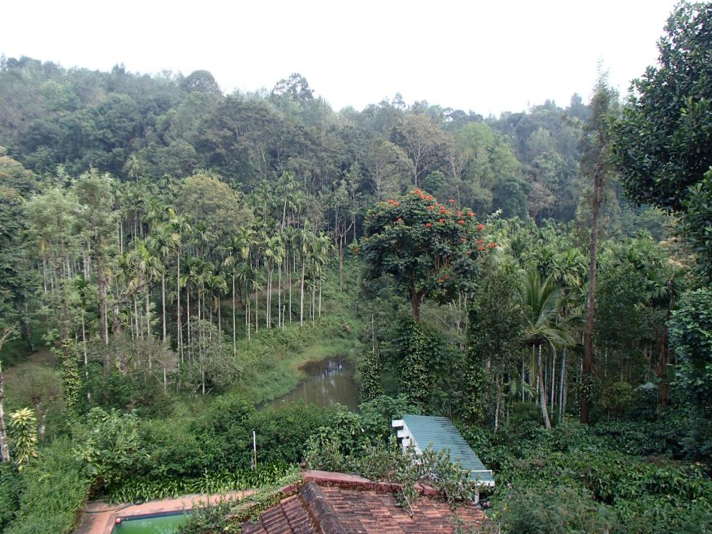 Coorg 4 C's Little Paradise photo