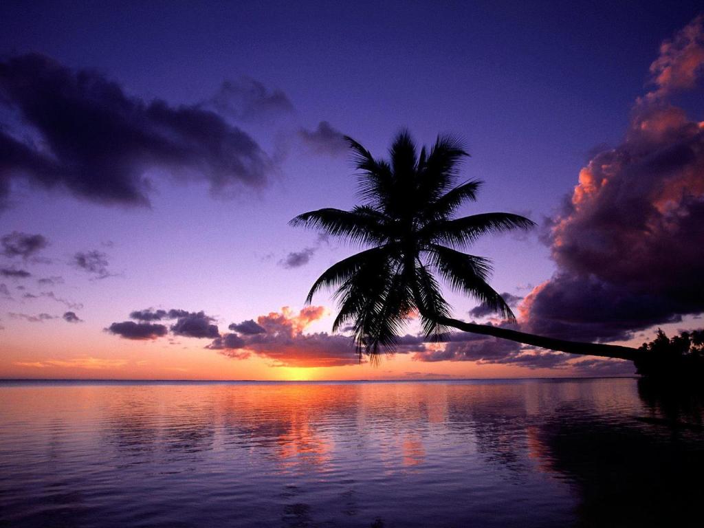 Fare Kahaia — Hotel in Huahine Island