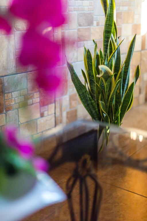 Shared lounge/TV area