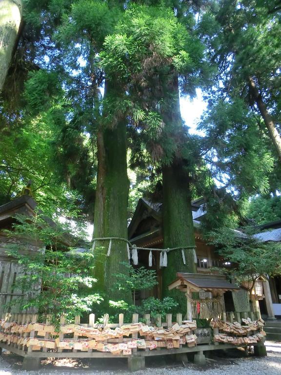 Nearby attraction