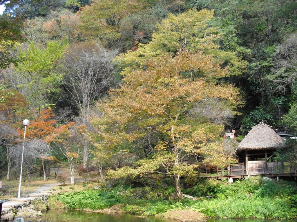 Nearby attraction