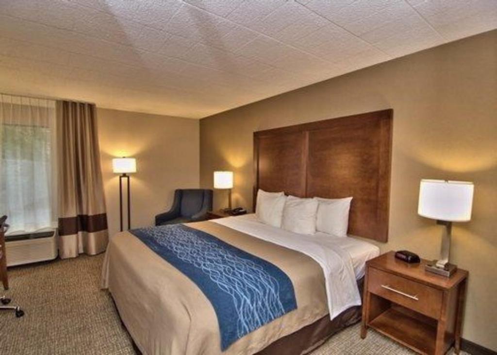Comfort Inn photo