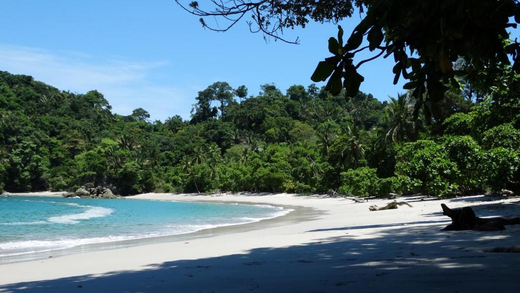 Dos Casitas photo