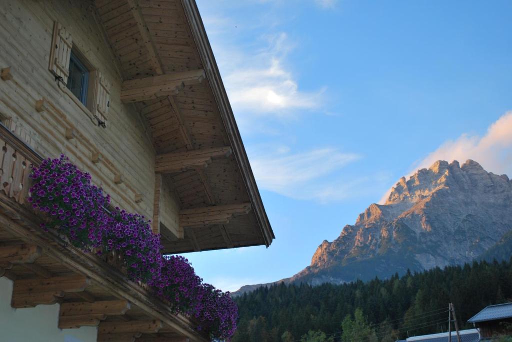 Appartement Haus Pichler - 5