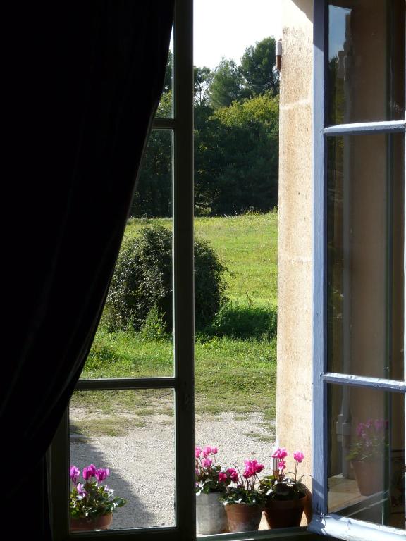 Lou Amourie photo