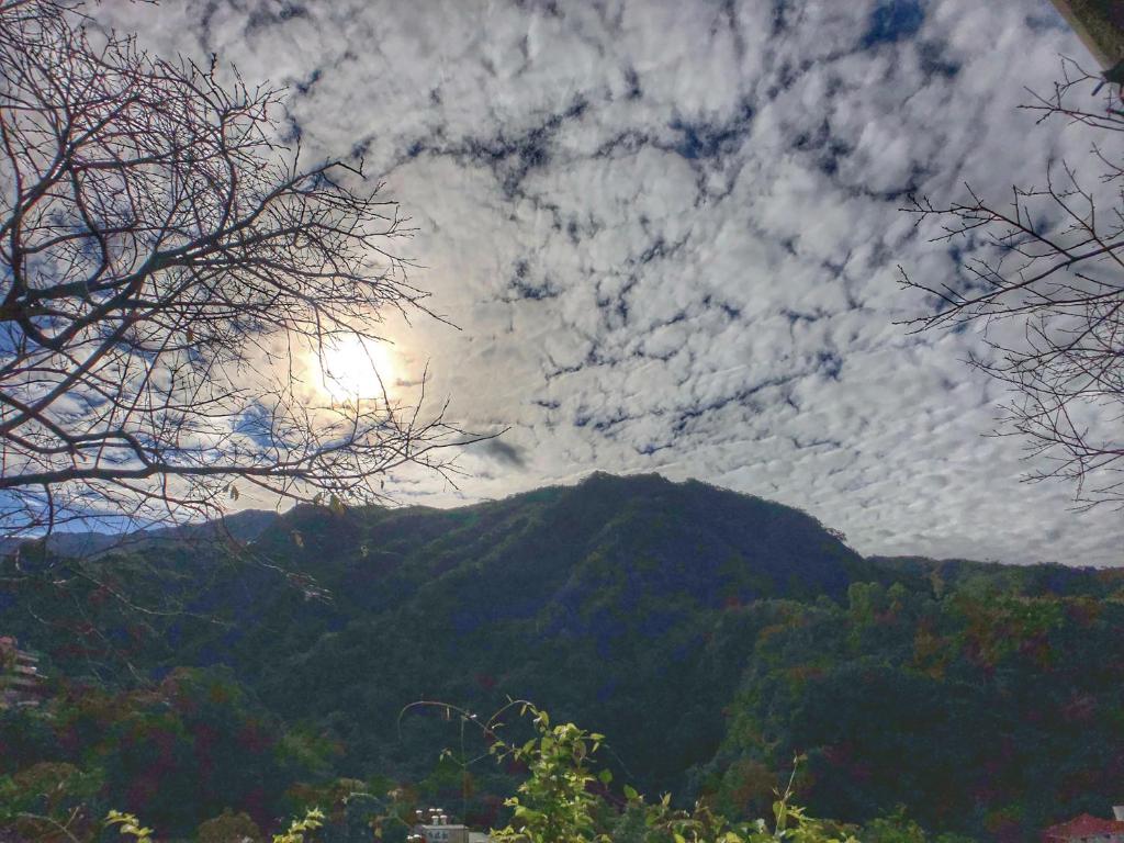 景觀