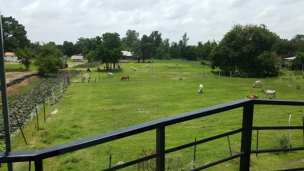 Surrounding environment