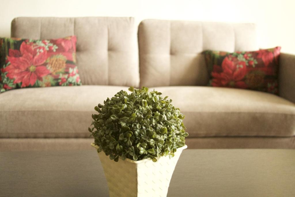 카사 데 페드로 호텔 이미지 1