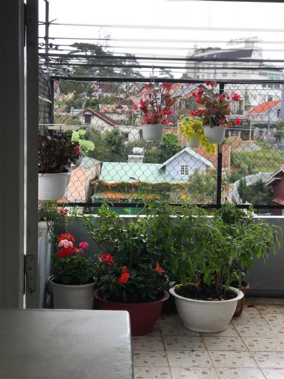 Thien Phu Guesthouse Dalat photo