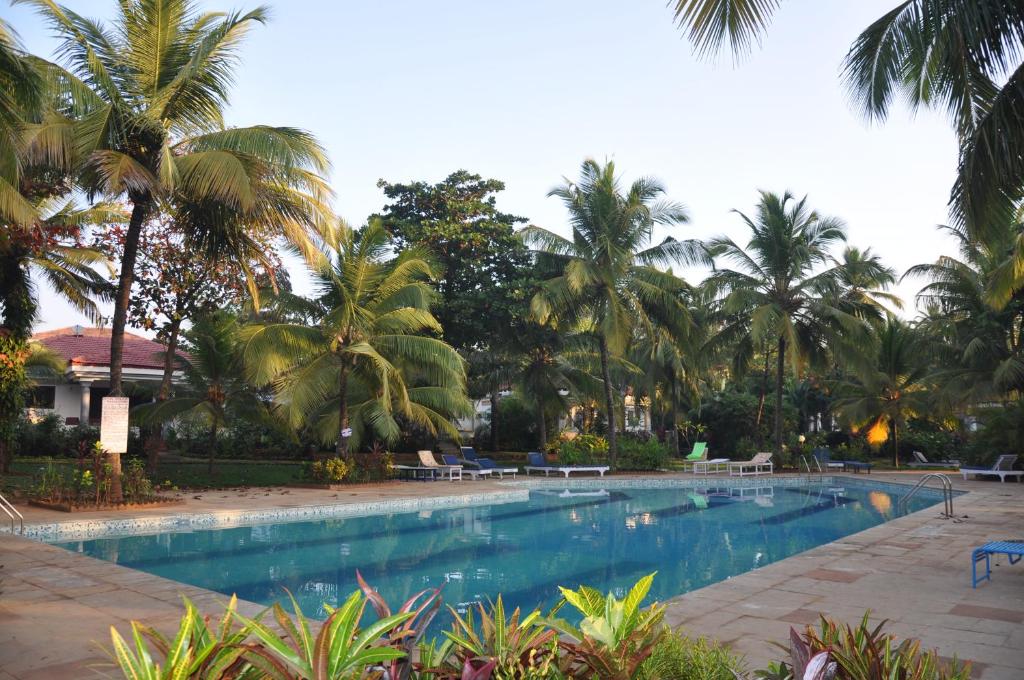 Swimming pool, Villa Mayfair in Goa