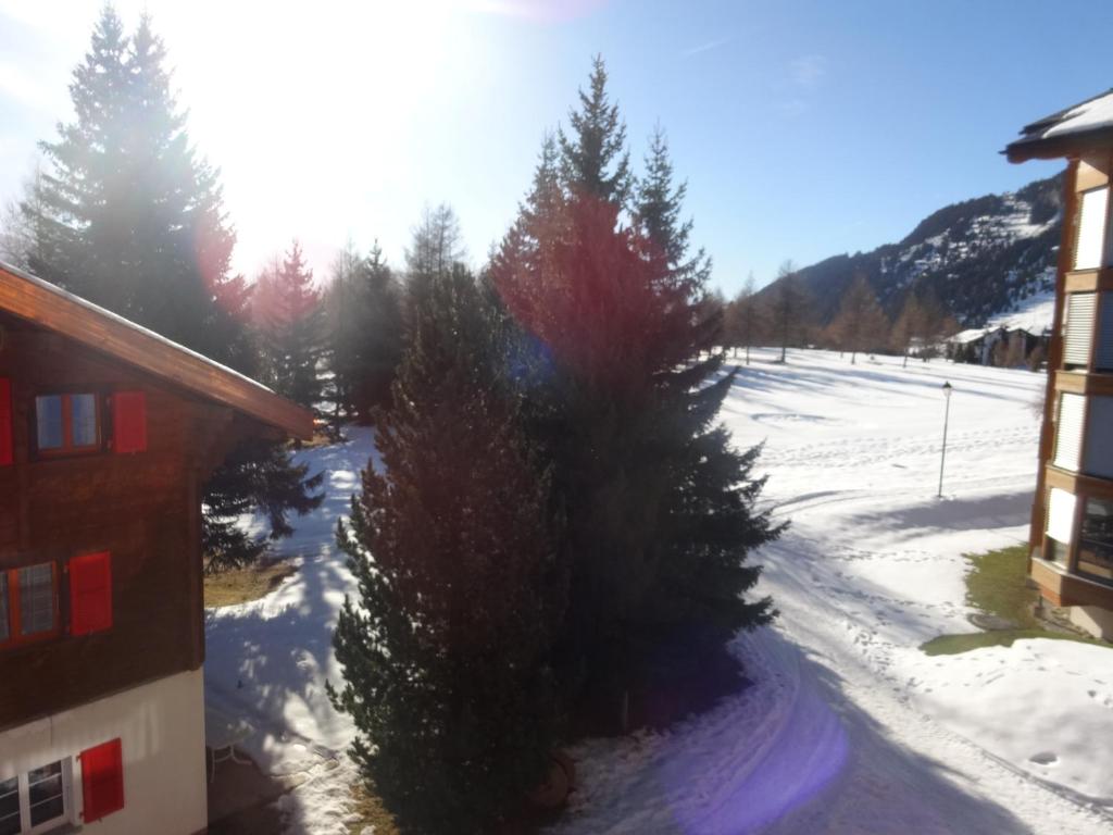 Alpenresort B22 - 4