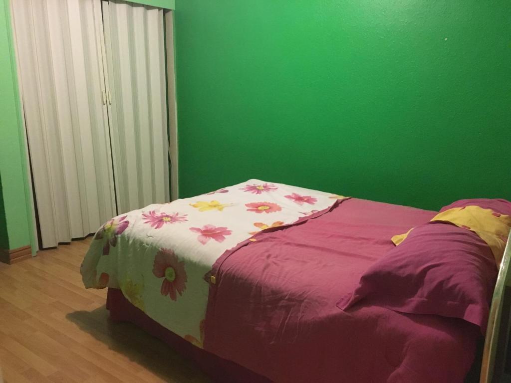 Blanquita guesthouse photo