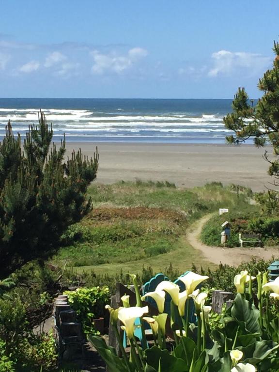 Pacific Beach Resort 3