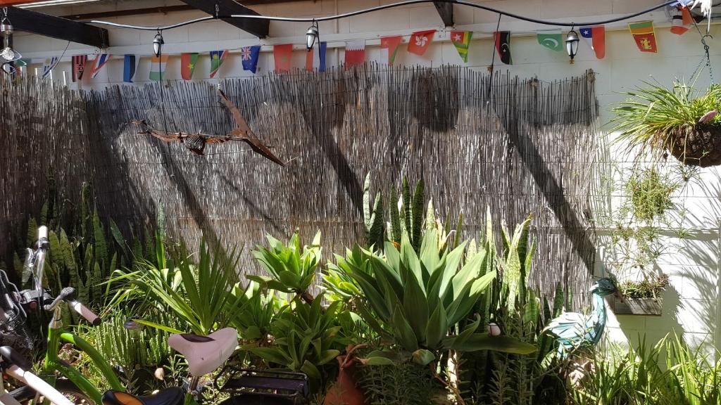 Alice's Secret Travellers Inn photo
