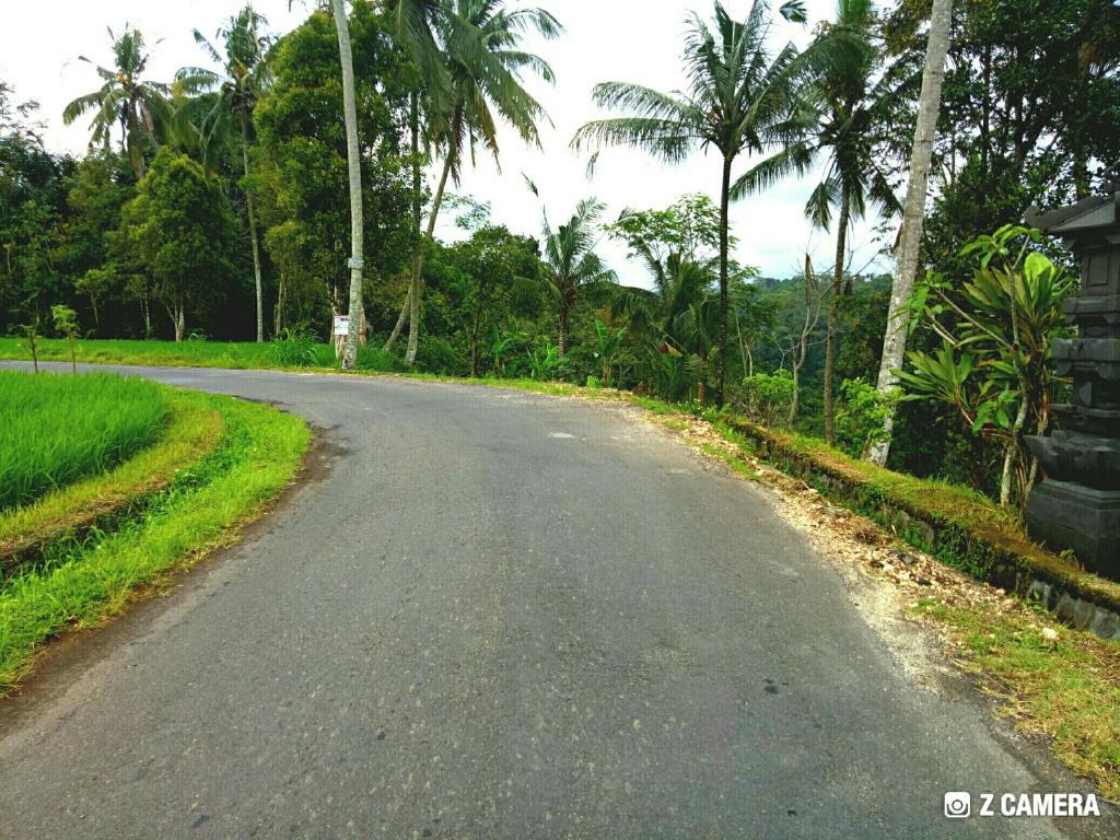 周辺観光スポット