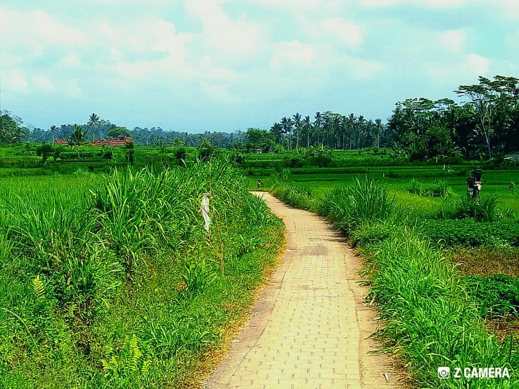 周辺観光スポット