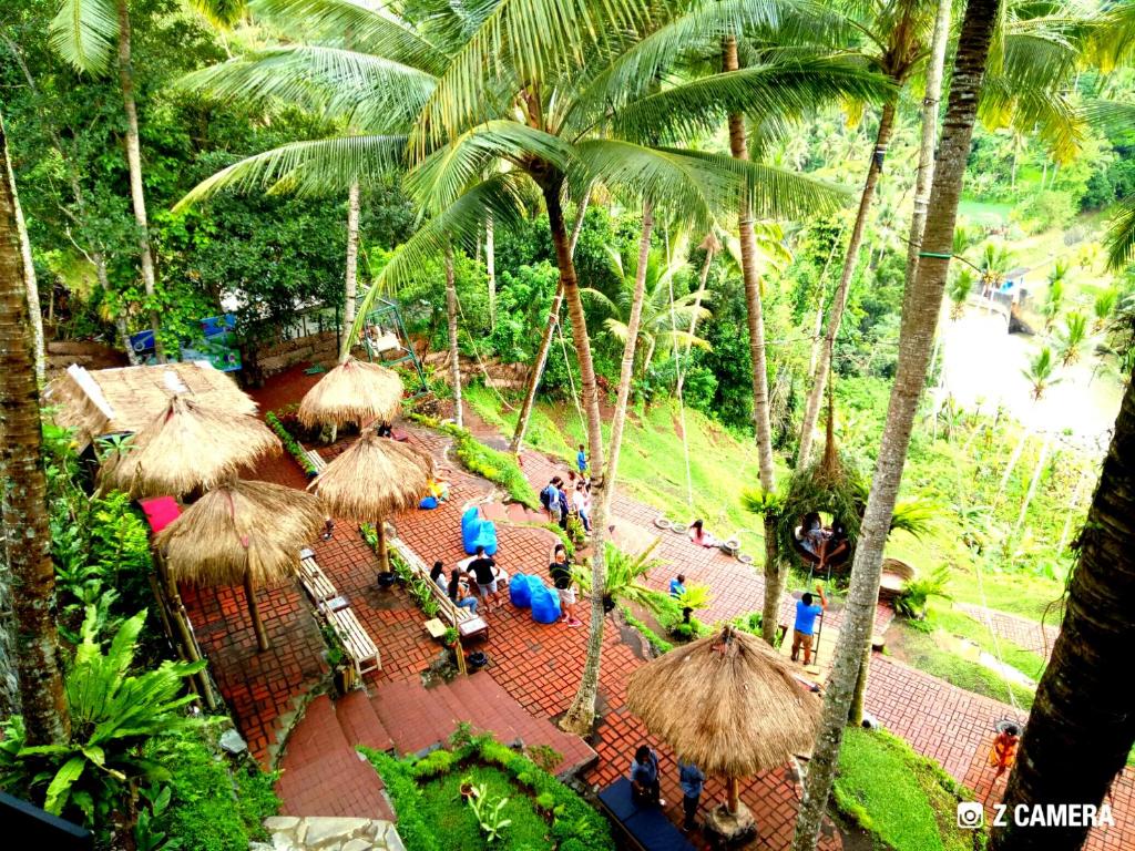 アクティビティ