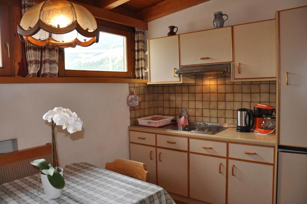 Haus Pfeifhofer - 4