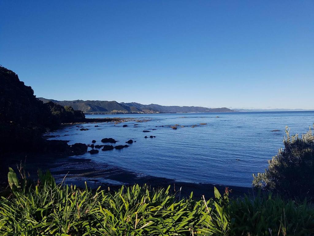 Te Kaha Beach Resort photo