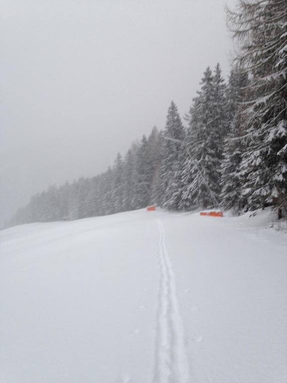 Sports and activities