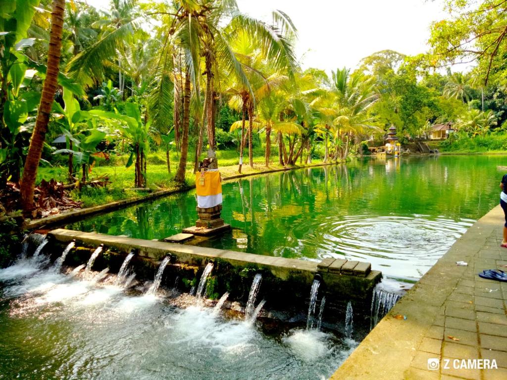 周辺観光スポット