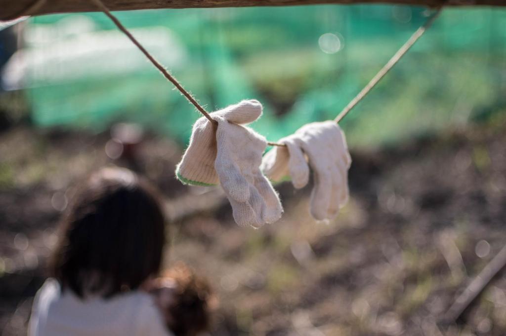 Surrounding environment