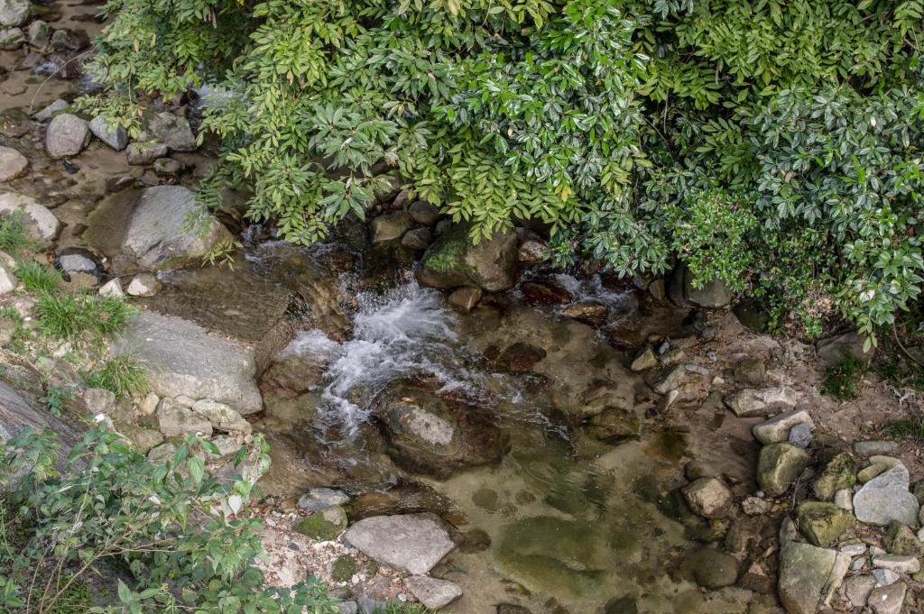 Surrounding environment