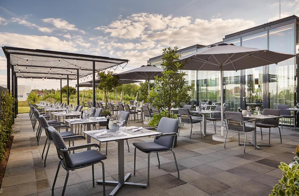 LOISIUM Wine & Spa Resort Langenlois レストラン