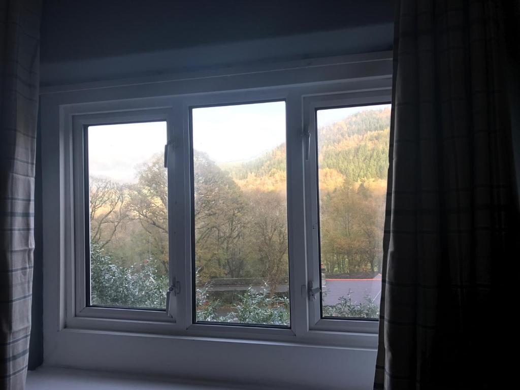 The Vagabond Bunkhouse photo