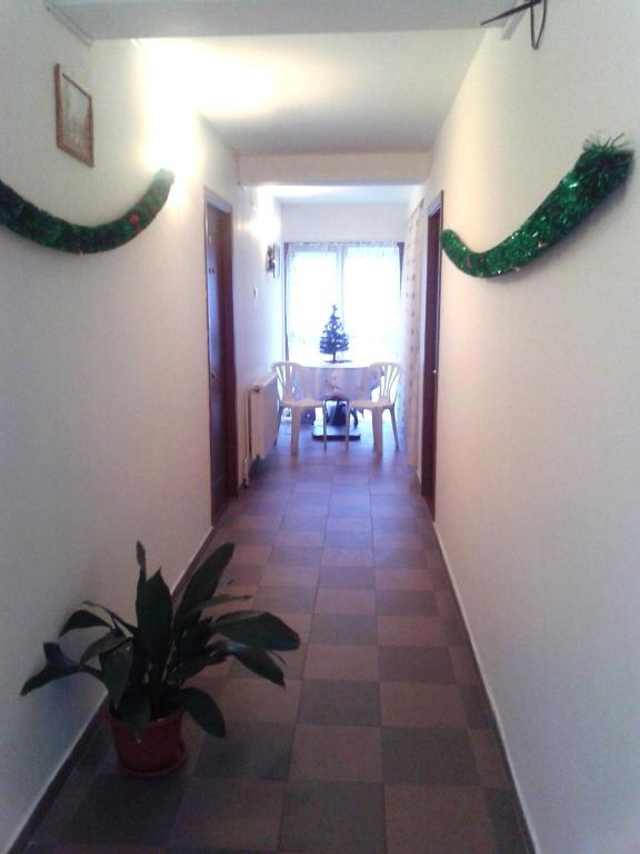 Pensiunea Pinul Negru photo