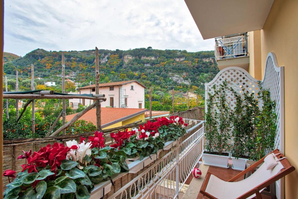 La Vita è Bella - De Vivo Realty Sorrento - 5