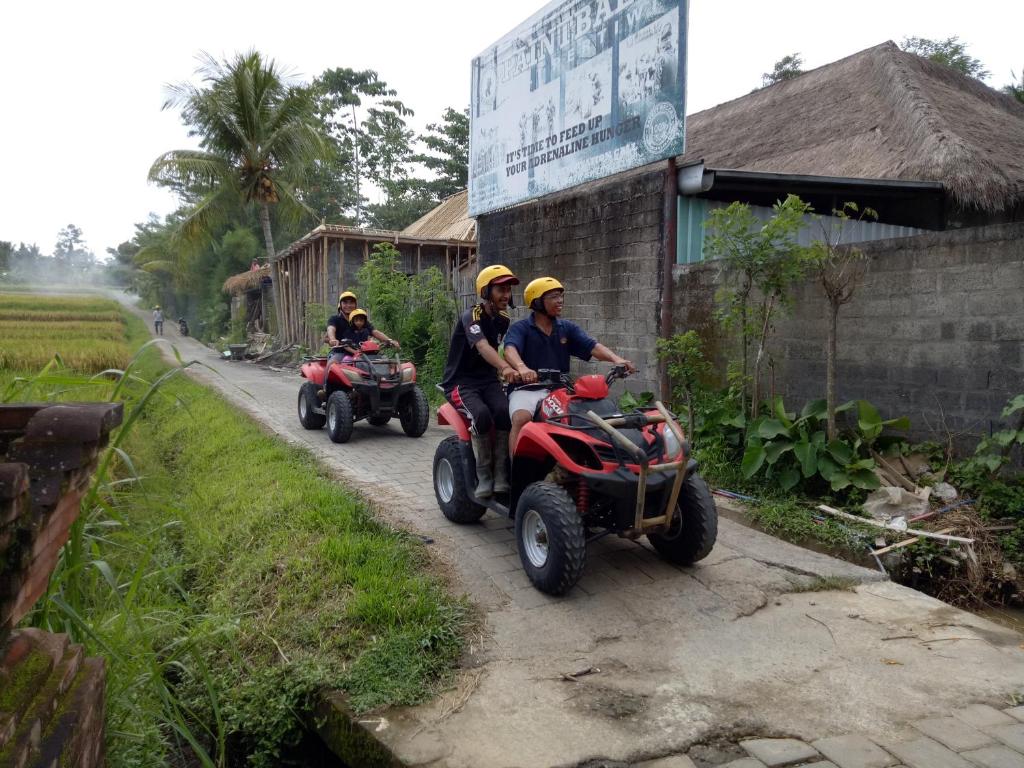 アクティビティ