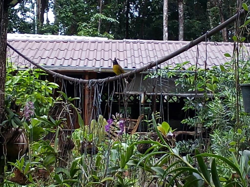 Exterior view