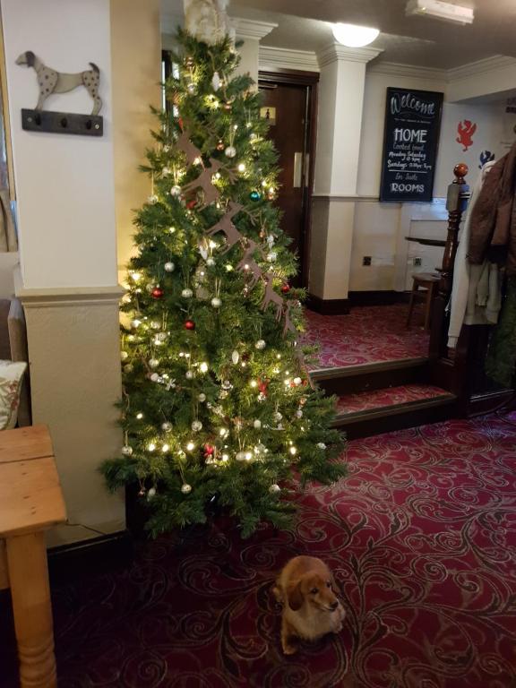 George and Dragon Ashbourne photo