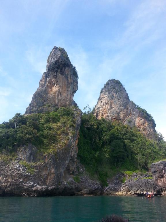 Surrounding environment