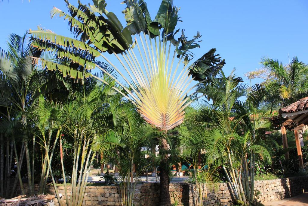 Hotel Punta Franca photo