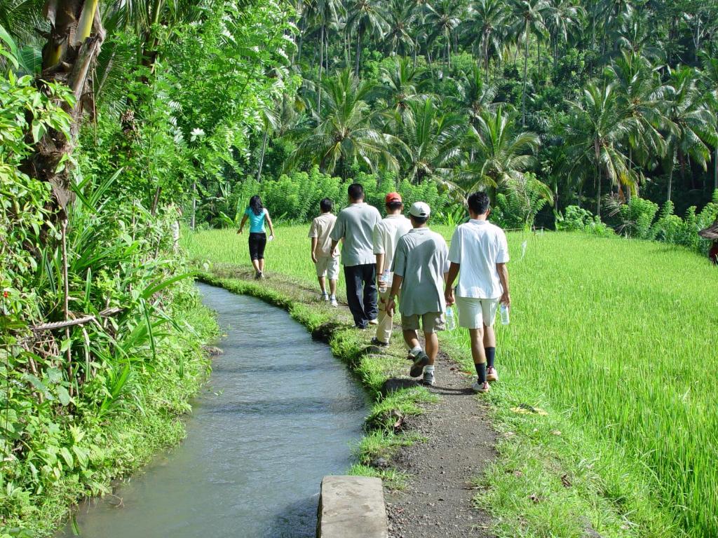 Surrounding environment
