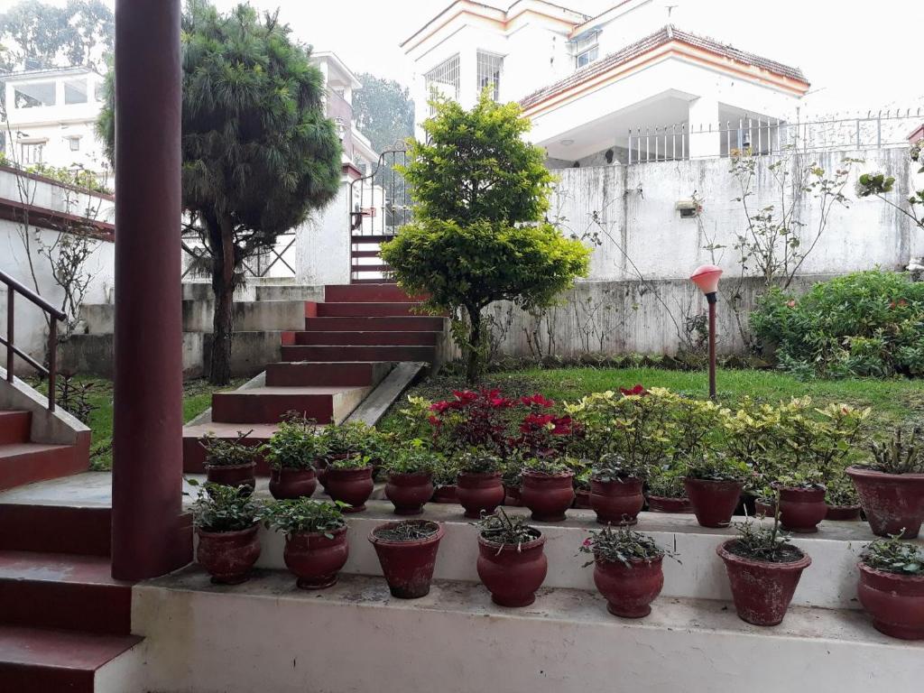 Lakshmi Lands - The Royal Stay photo
