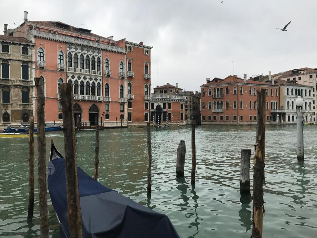 Palazzo Grassi and Accademia Bridge superb House photo