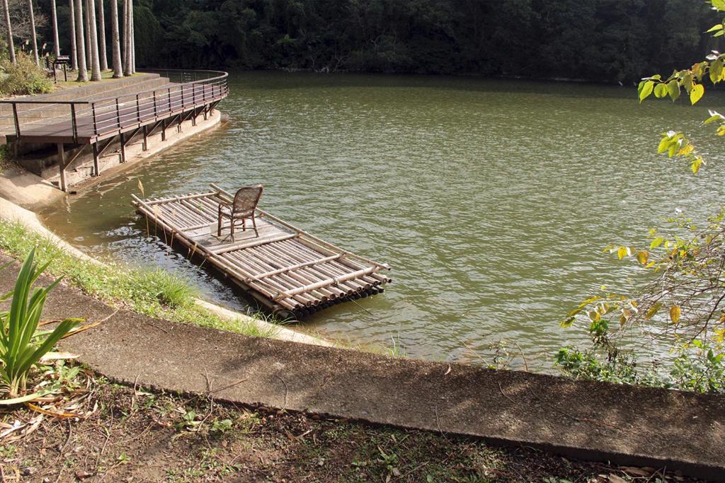 アクティビティ