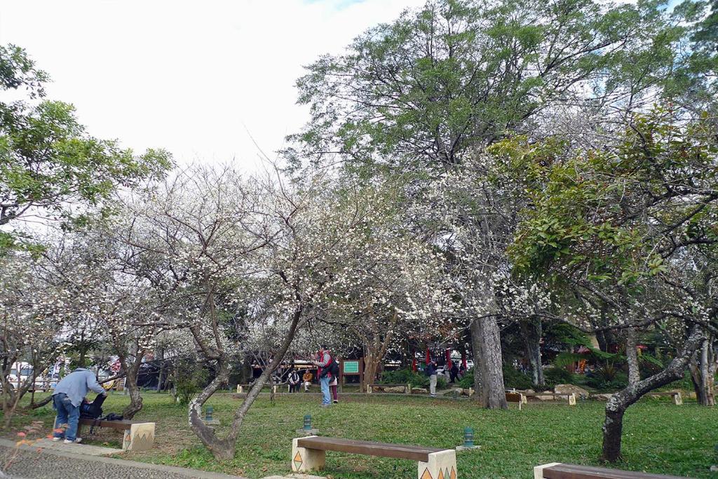 アクティビティ