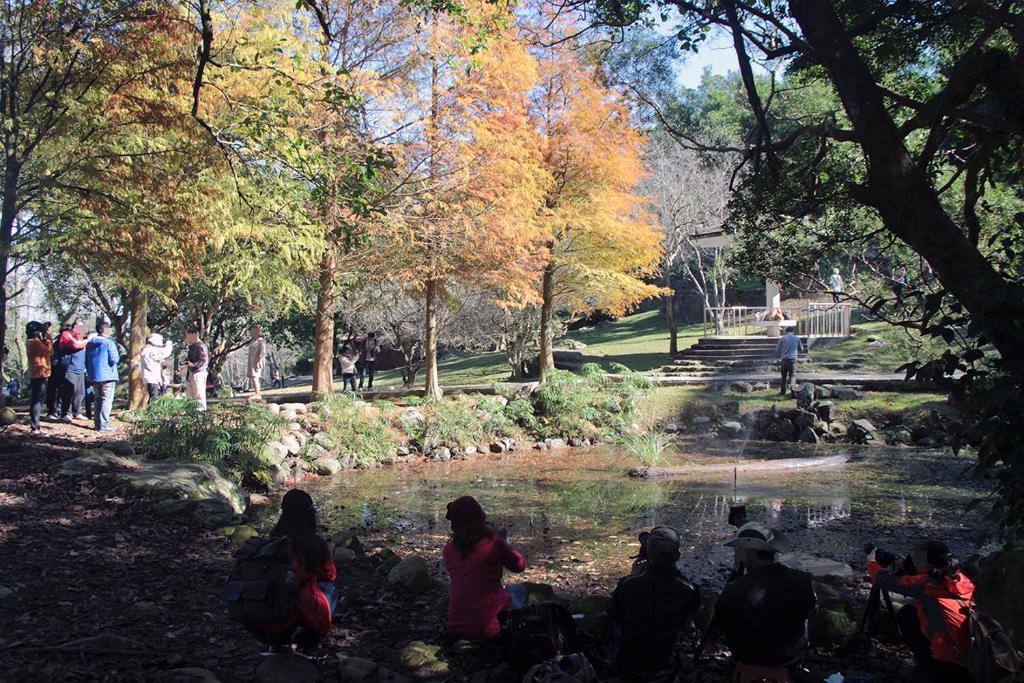 アクティビティ