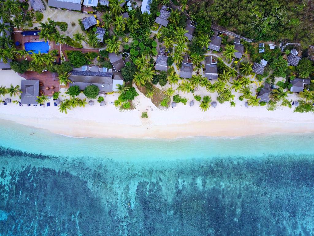 Octopus Resort photo