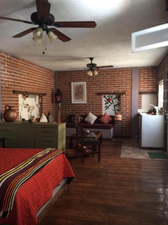 Suites colibri - 2