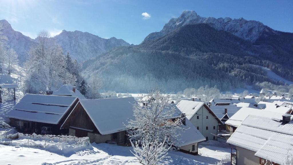 Apartments Planica photo
