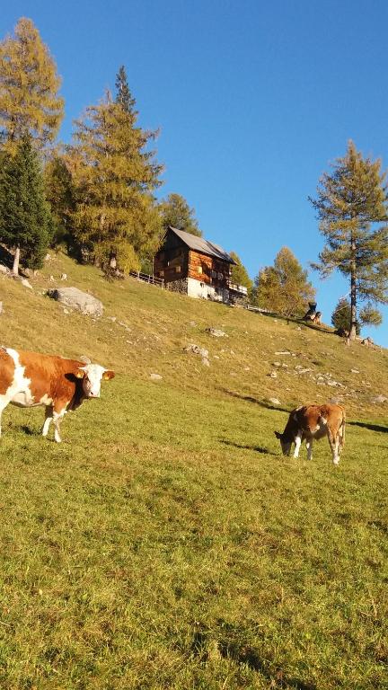Platzerhütte - 5