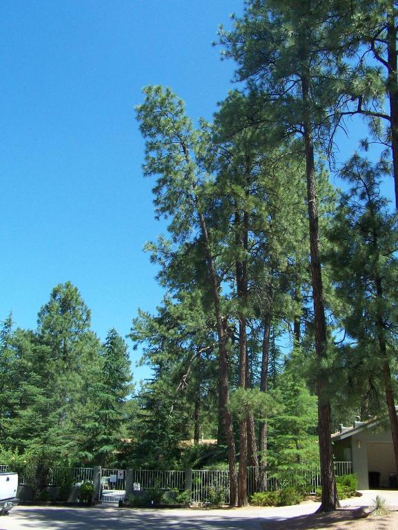 Majestic Mountain Inn Photo 1