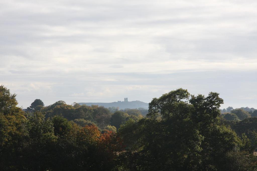 Surrounding environment