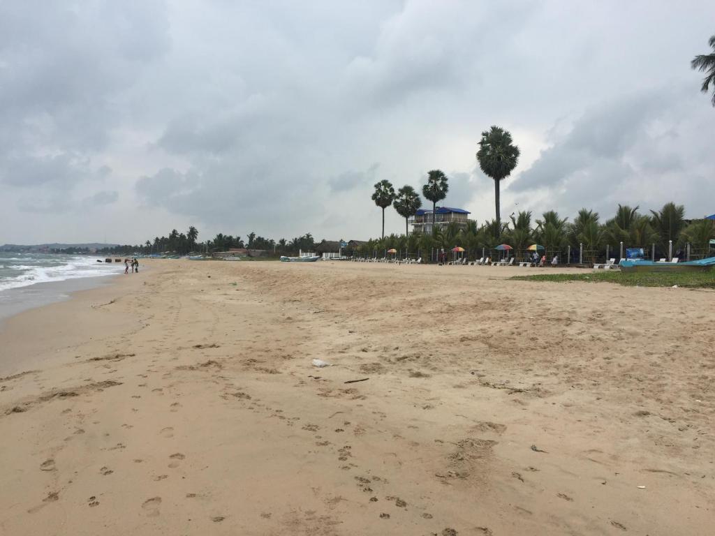 Blue Wings Beach Hotel photo